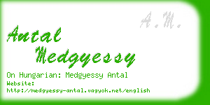 antal medgyessy business card